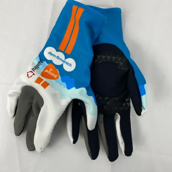 DSM - Guante invierno