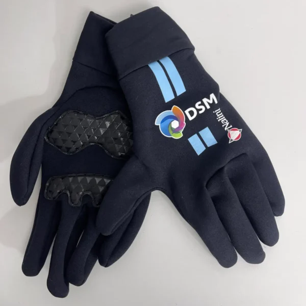 DSM - Guante invierno